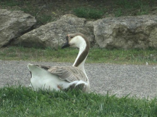 33147996_1652200744895224_7636666012242280448_n.jp 33147996_1652200744895224_7636666012242280448_n.jp