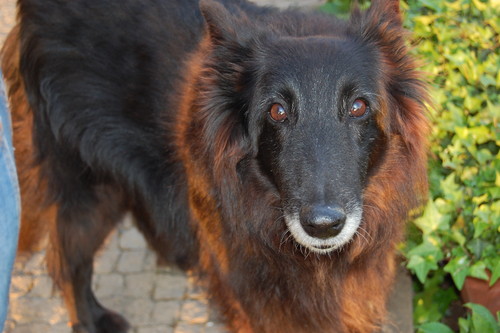 DSC_0389 - Cópia.JPG