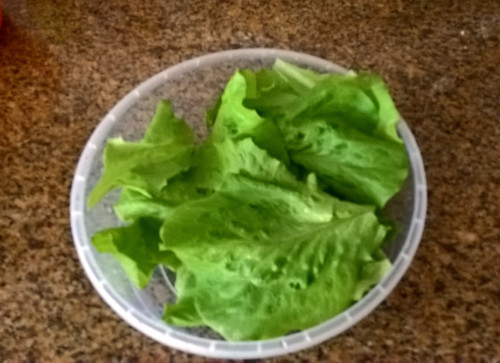 WP_20180613_11_55_46_Pro (2).jpg