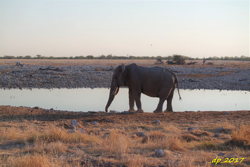 SAM_9910.JPG SAM_9910.JPG