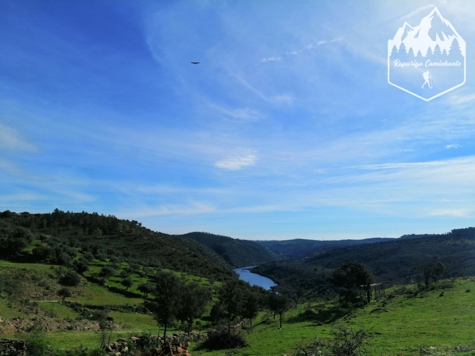 Photo_1584188282311.jpg Photo_1584188282311.jpg