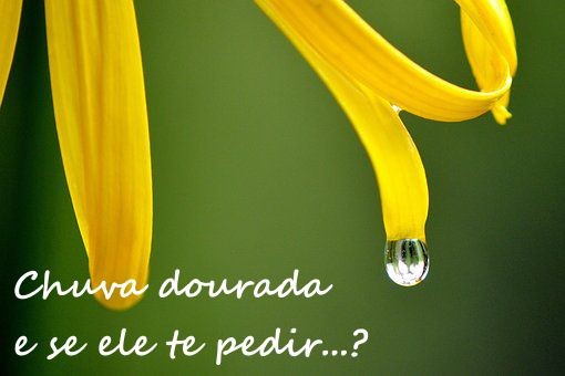 Chuva dourada.jpg