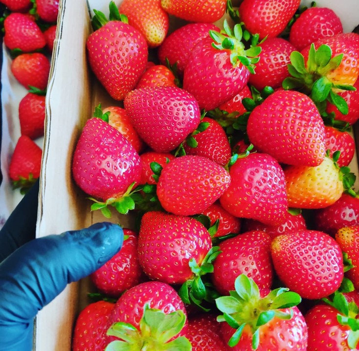 193661618_2037864439686640_2666119286520409775_n.j 193661618_2037864439686640_2666119286520409775_n.j