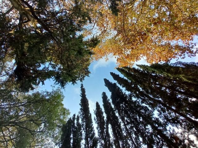 258739012_585996119372169_1981845631534794176_n.jp