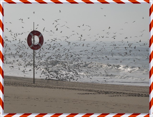 26b_Praia_de_Mira (24).JPG