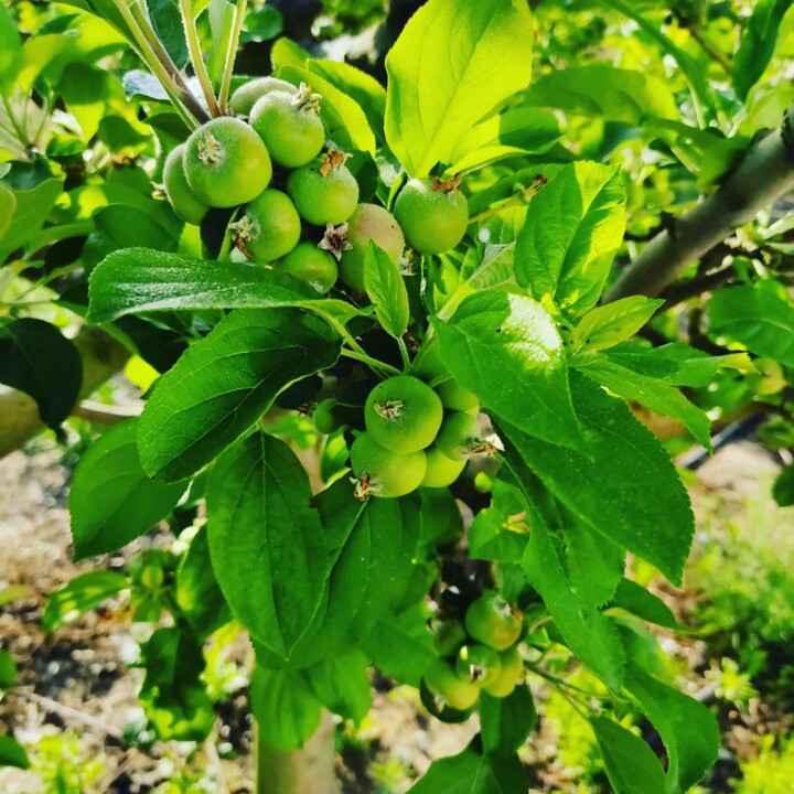 344390670_579038520993895_4128407578444199316_n.jp