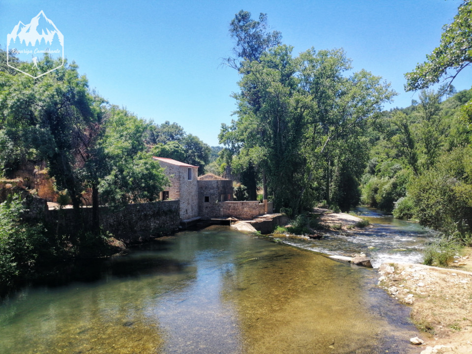 Photo_1596312397359.jpg Photo_1596312397359.jpg