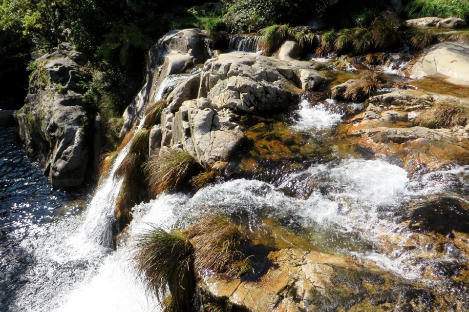 IMG_4697.JPG IMG_4697.JPG