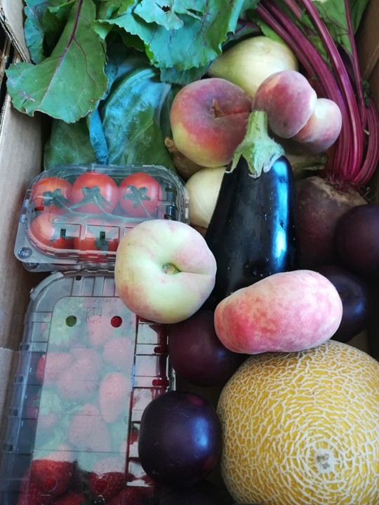 62475657_1391396864333404_1751162877881876480_n.jp 62475657_1391396864333404_1751162877881876480_n.jp