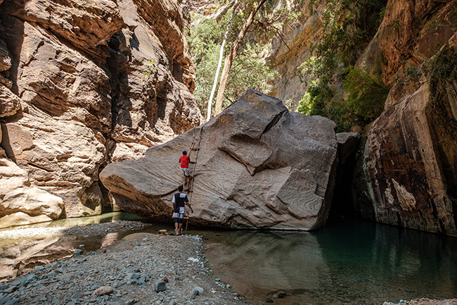 20200919 2020 Wadi LajabbB.jpg