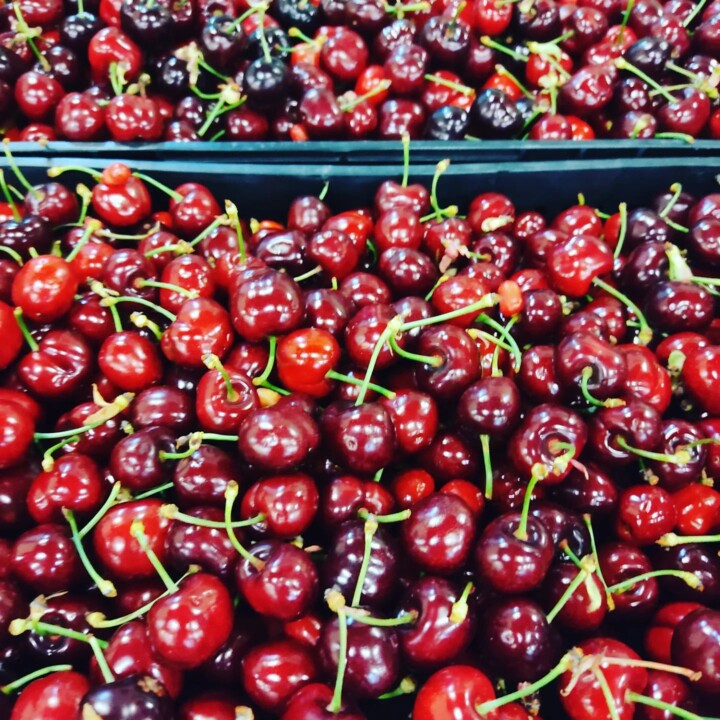 345056020_952669682601369_8005643252020842477_n.jp