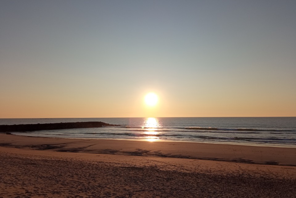 IMG_20210106_203558.jpg IMG_20210106_203558.jpg