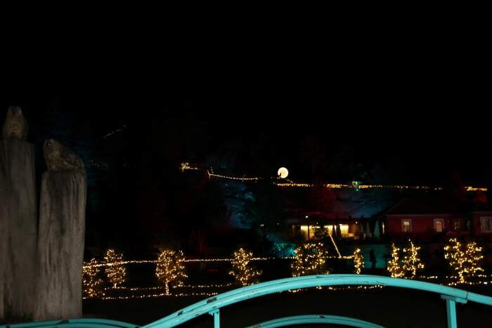 Floresta Encantada 28-22-2025 (48).JPG