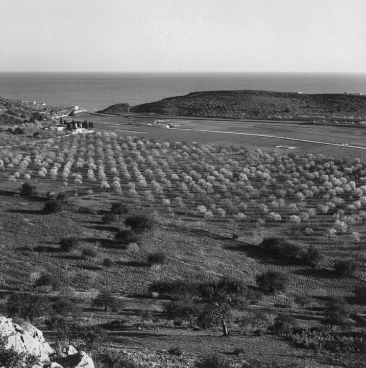 tumblr_46a8cfb4d9cf9202c74700629ff431a9_c41a0abf_2