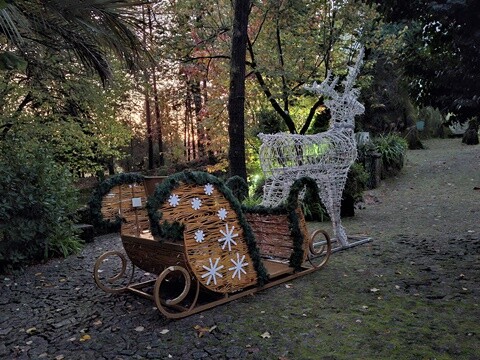 08a_Caminhada_Matinal (16).jpg