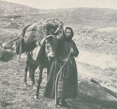 828 b crasteja 1907.jpg