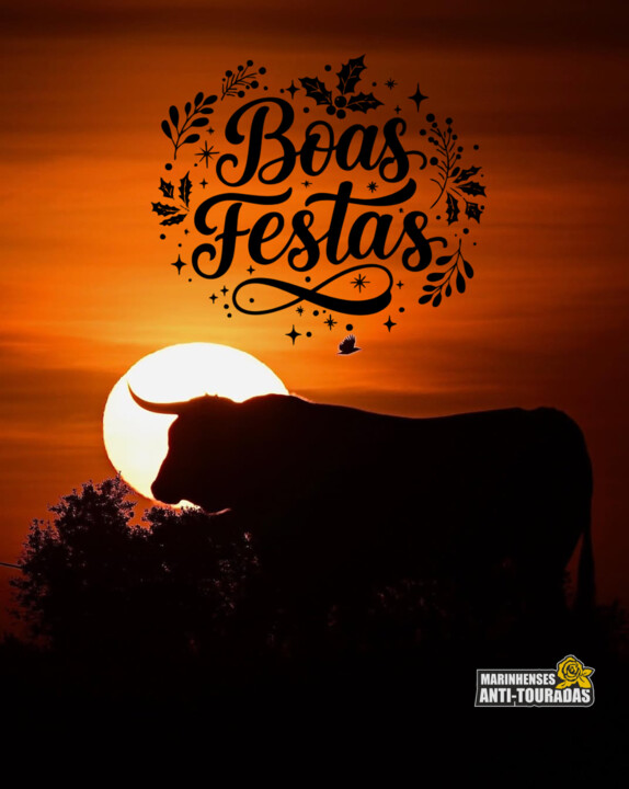 BOAS FESTAS MARINHENSES.jpg