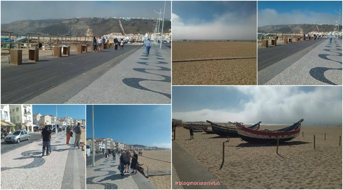 BeFunky Collage1.jpg