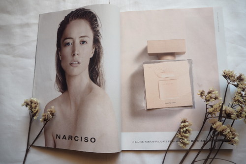 P8150255.JPG P8150255.JPG