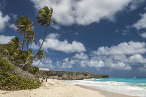 Crane Beach, Barbados.jpg