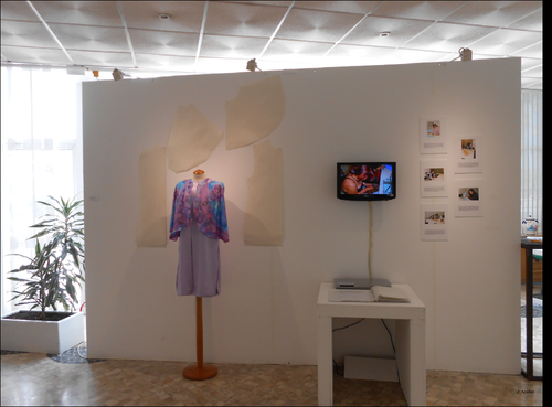 Exposição da USALMA (4).  2015. Foto de João Flávios PNG