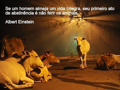 abstinência.jpg abstinência.jpg