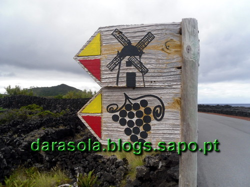 azores_pico_criacao_velha_25.JPG