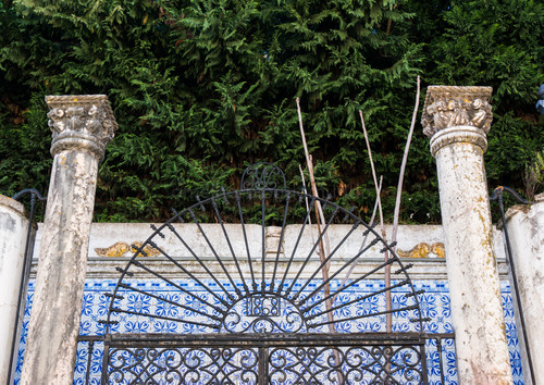 DSC00694.jpg DSC00694.jpg