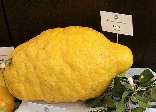 IMG_20150411_162447 (2).jpg