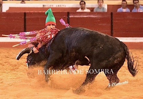 BARREIRA DE SOMBRA30-78-DSC_5668.JPG