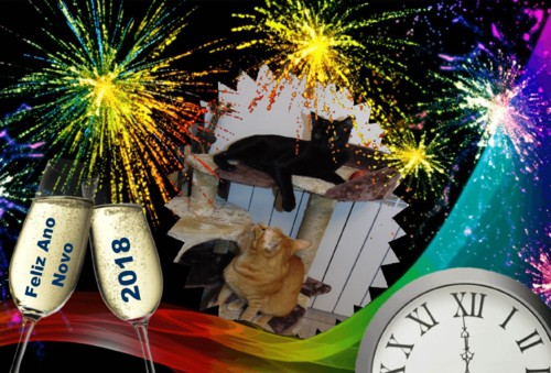 ano2018.jpg ano2018.jpg