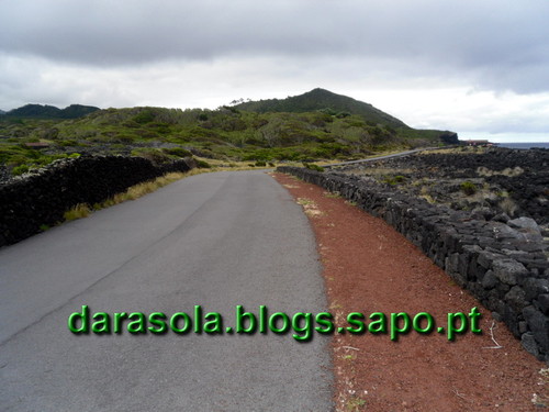 azores_pico_criacao_velha_28.JPG