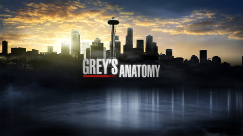 GreysAnatomyMainLogo.jpg