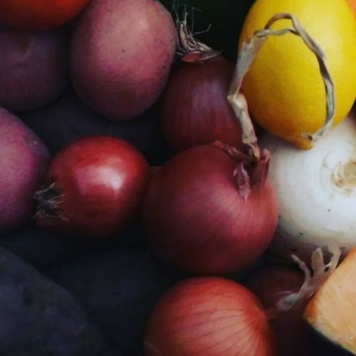 24204572_1860821580618827_6754473682329927680_n.jp