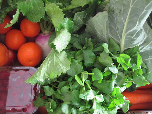 IMG_5783.JPG IMG_5783.JPG