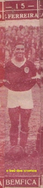 francisco ferreira-benfica.jpeg