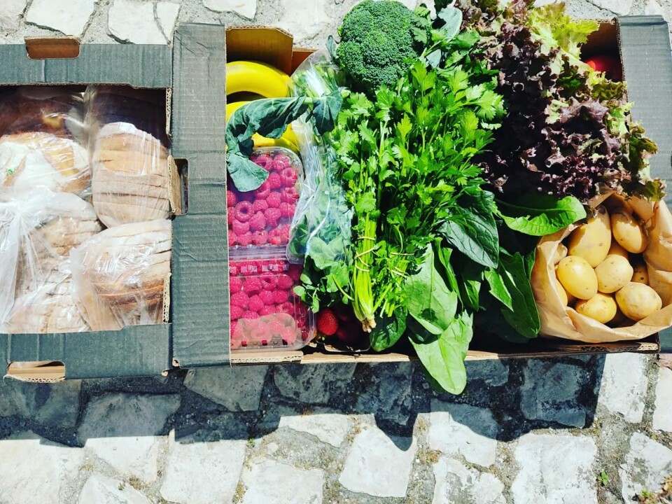 343672208_669360621619149_1093100552712806103_n.jp