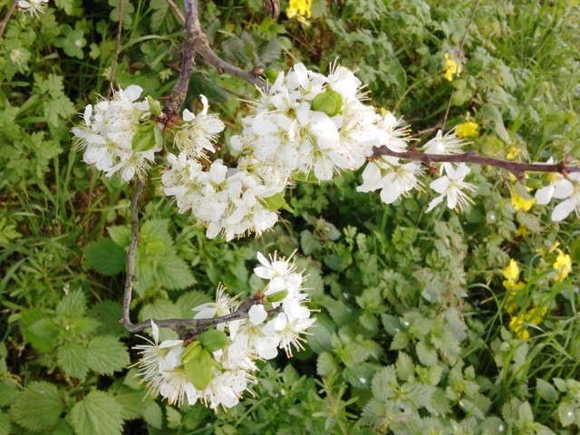 161311036_3721742234607721_614394331981391487_o.jp