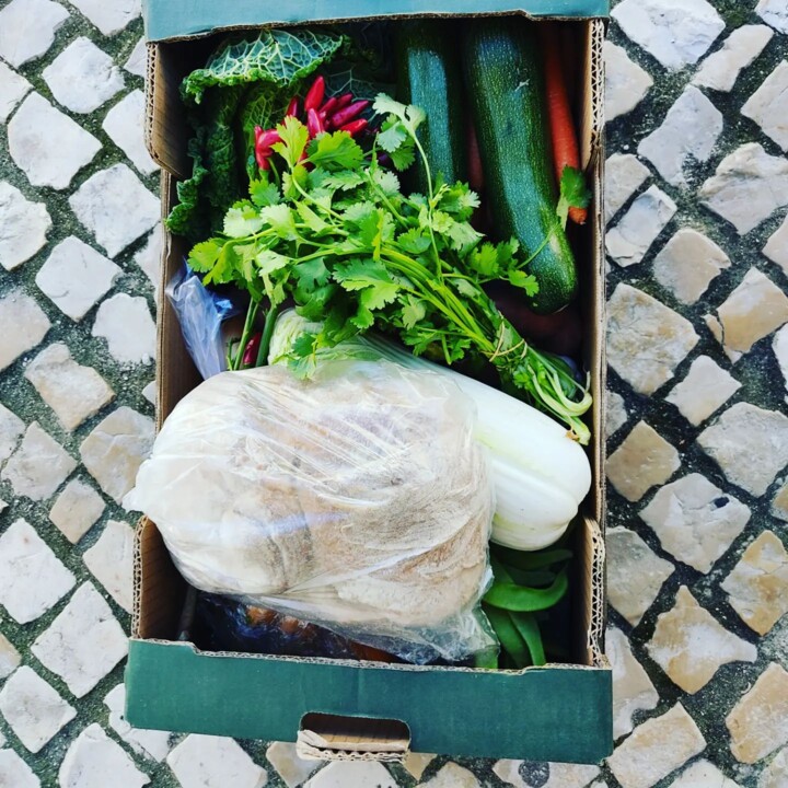 310599923_2428623837277363_5276830664515635644_n.j