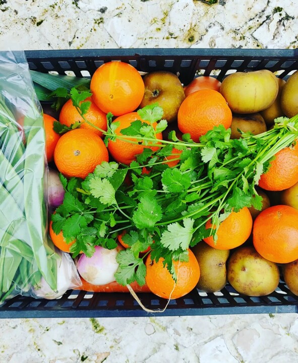 318320152_2490069774466102_2040513595039836925_n.j