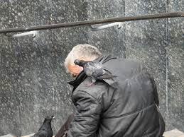 505726535_9320170218082473_1755615854912722836_n.j