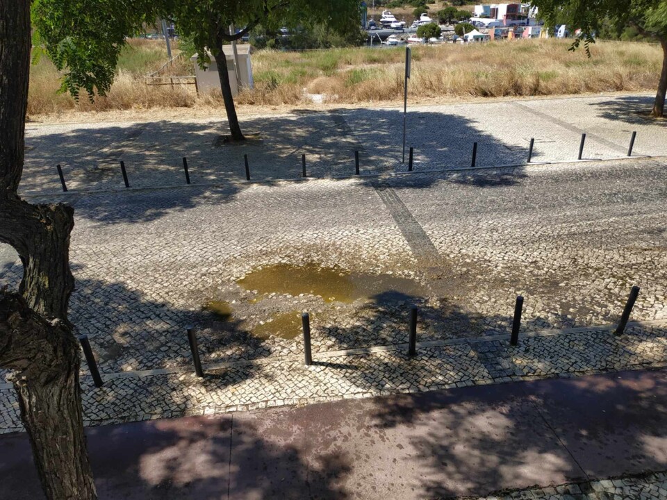 451691292_514602854561835_4791824524963199289_n.jp