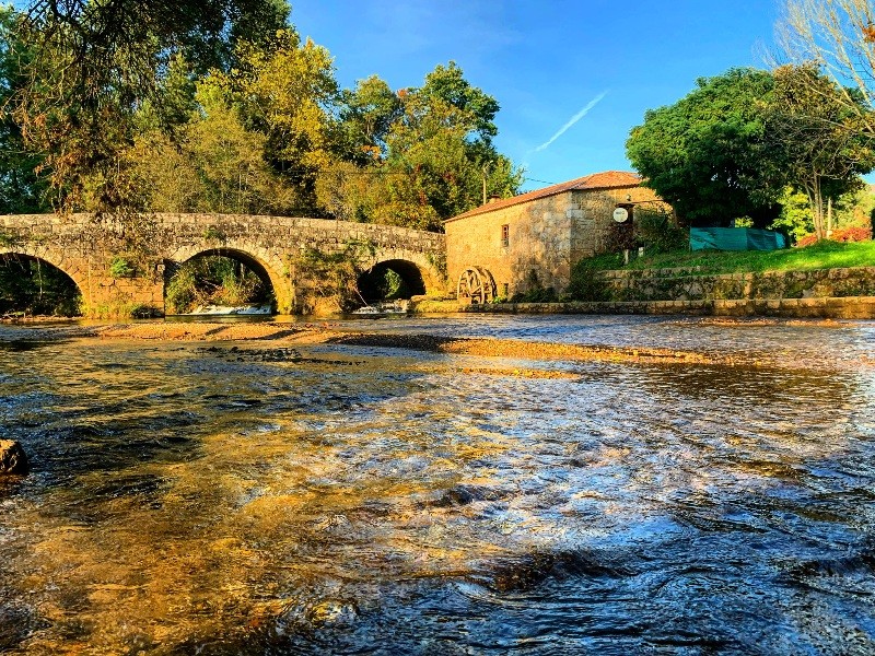 PNPGeresPyrrait (10).jpeg