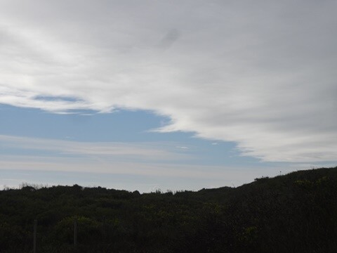 29b_Vagueira (28).JPG