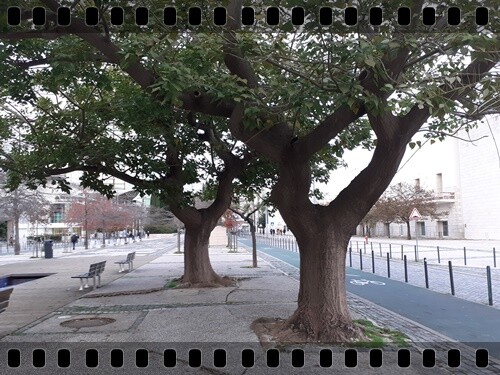 06a_Viagem_a_Lisboa (80).jpg