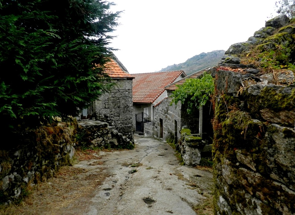 927 c 99-Mareco-141.JPG