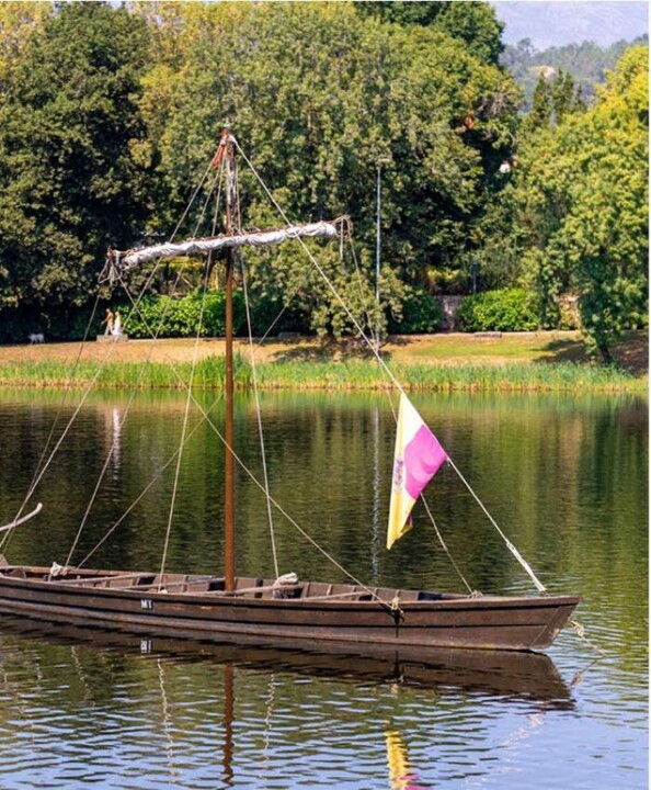 Captura de ecrã_1-11-2025_132228_.jpg