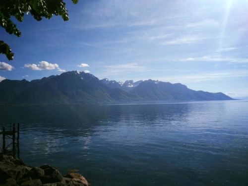 18485547_1447756171912811_7268034318938707312_n.jp