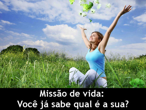 missao-de-vida-voce-ja-sabe-qual-e-a-sua[1].jpg