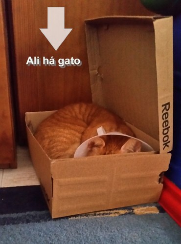 funilnao.jpg funilnao.jpg